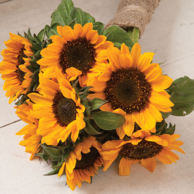 Summer Cut Flower Collection