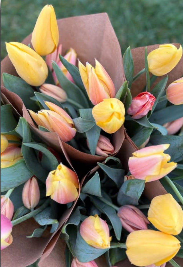 Spring Tulip Subscription