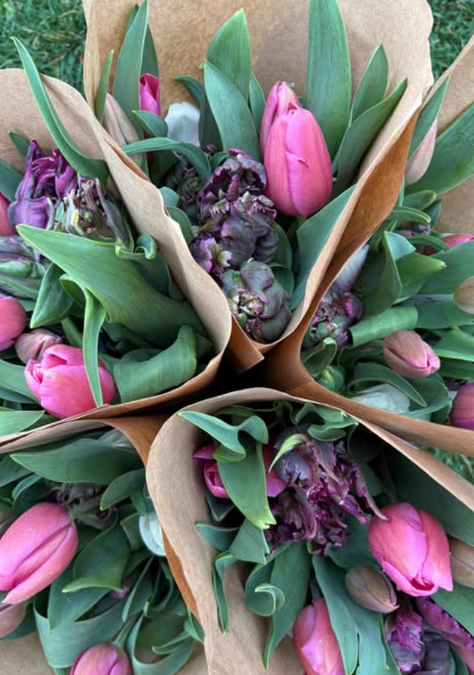 Spring Tulip Subscription